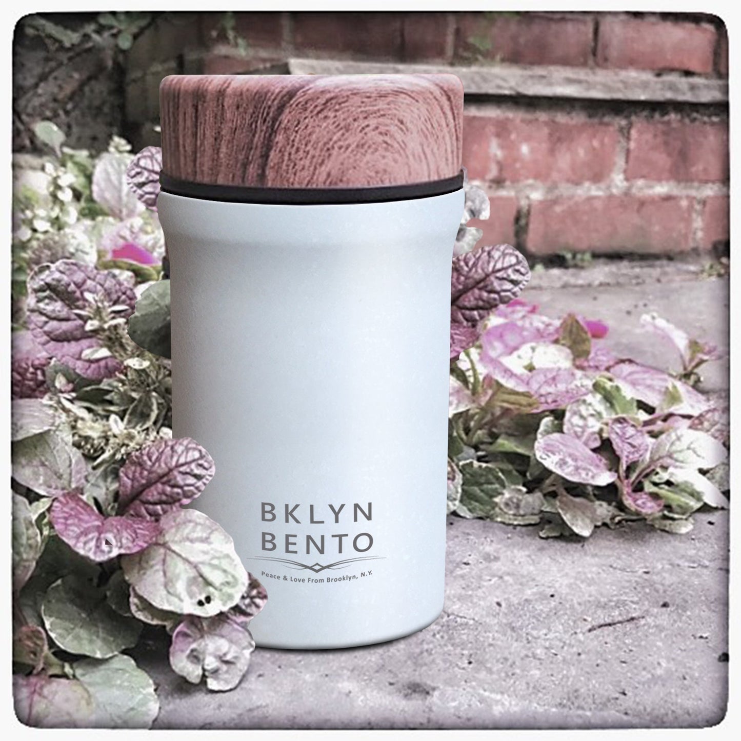 Bklyn Bento Williamsburg Food Jar Large (20oz) + Bamboo Spoon, Multiple Colors